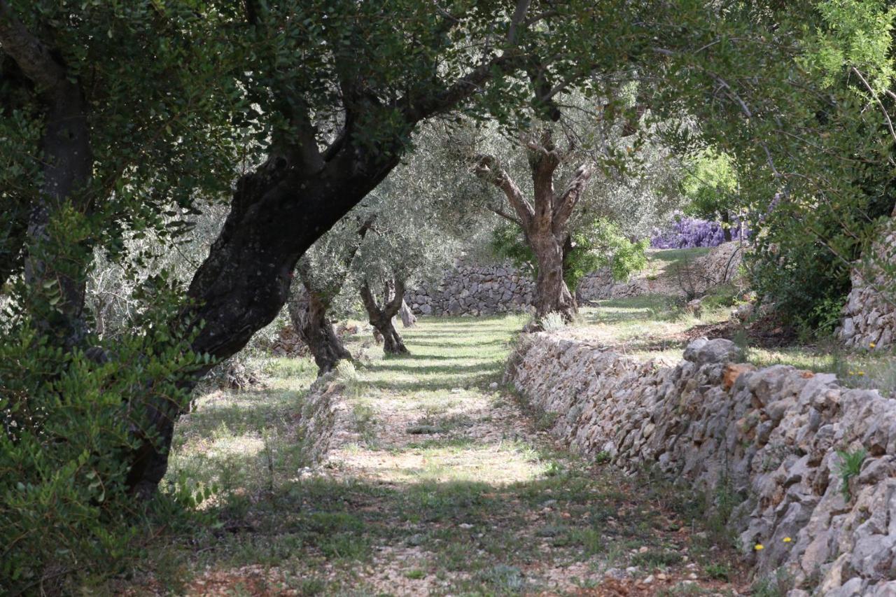 Villa Foia Vella - Adults Only Benigembla Exterior foto